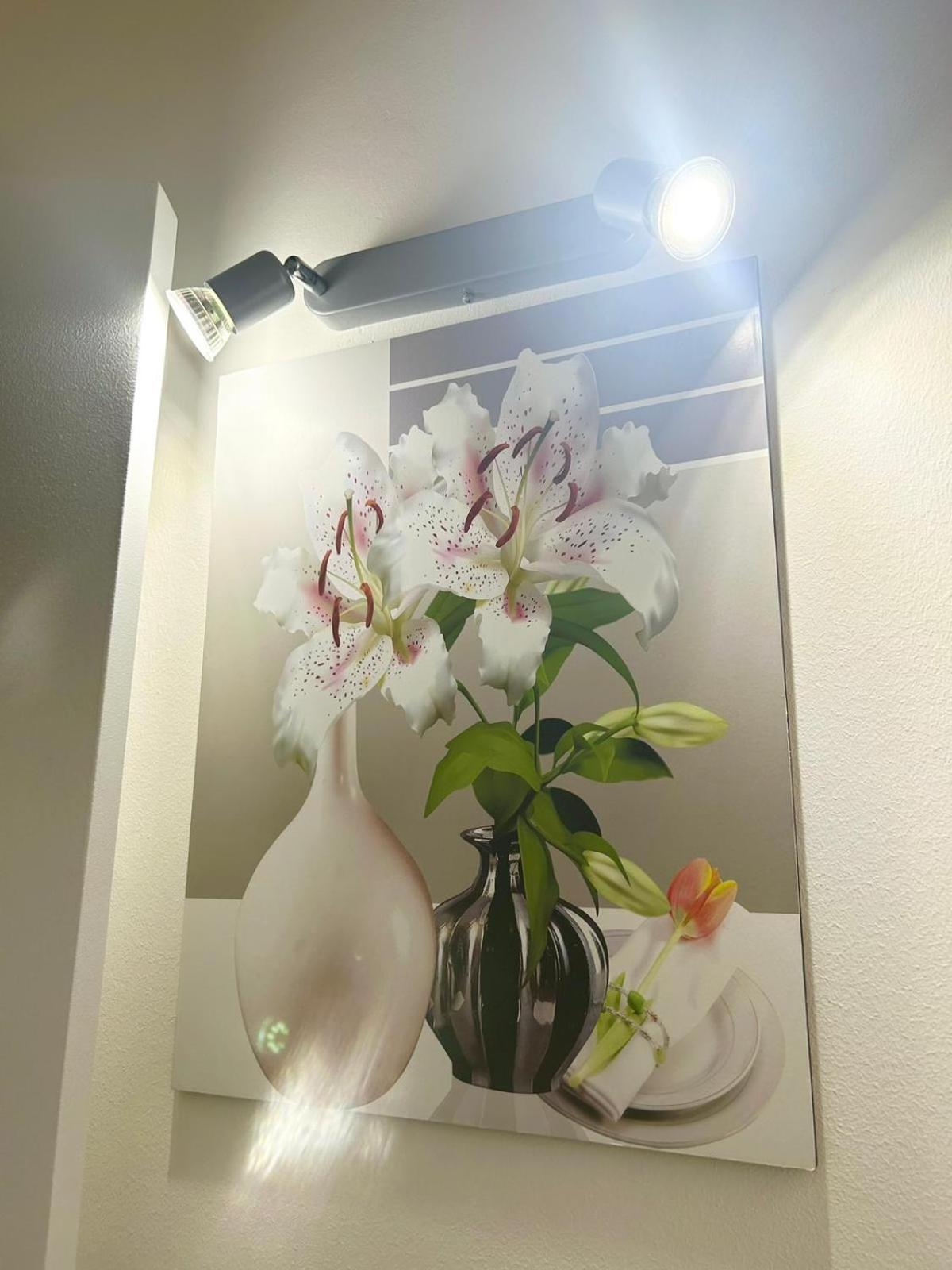 Apartments For Rent كاتانيا المظهر الخارجي الصورة